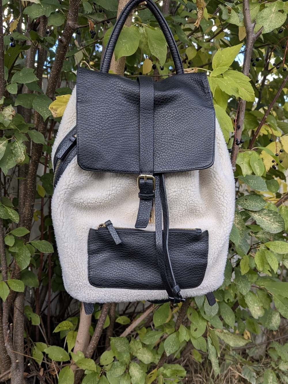 Indigo Cozy Chic Faux Shearling Sherpa Backpack Black Leather Buckle Daypack - Picture 3 of 14